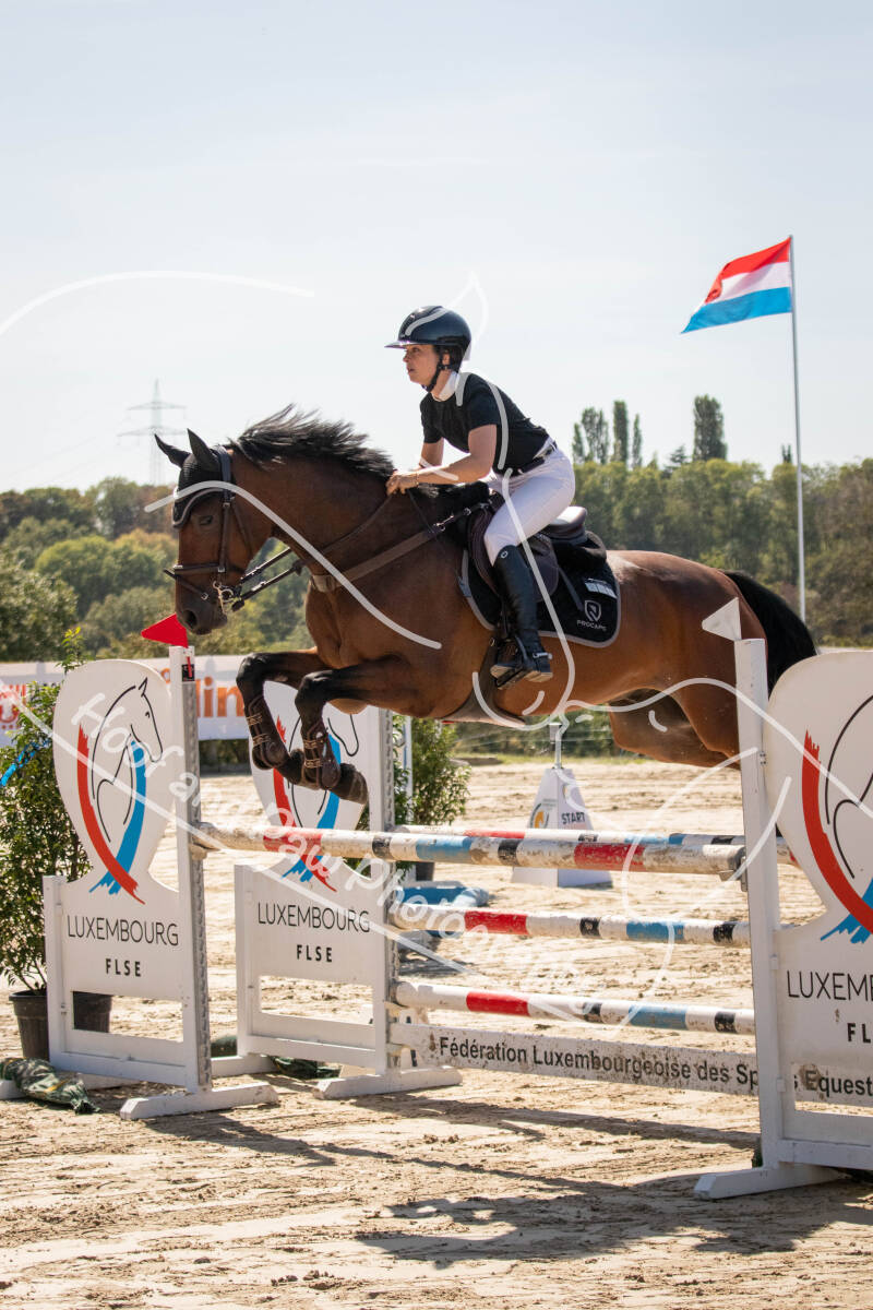 bouferterhaff-jumping-34-standard-8mnl9u.jpg