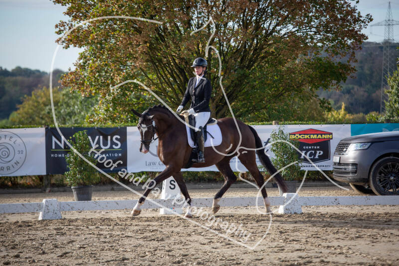 bouferterhaff-jumping-34-standard-9e0do9.jpg