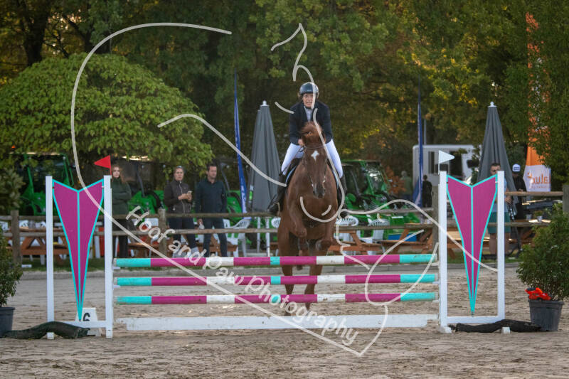 bouferterhaff-jumping-34-standard-db0ujr.jpg
