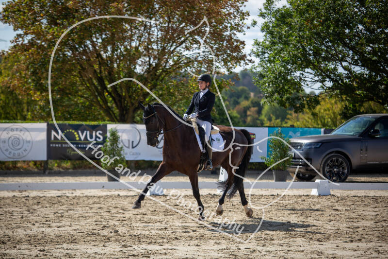 bouferterhaff-jumping-34-standard-dh0m3g.jpg