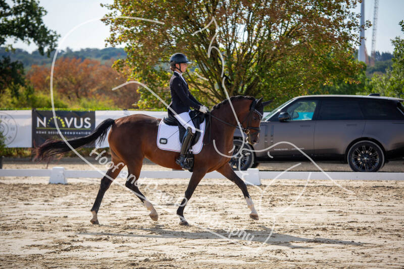bouferterhaff-jumping-34-standard-ez9bby.jpg