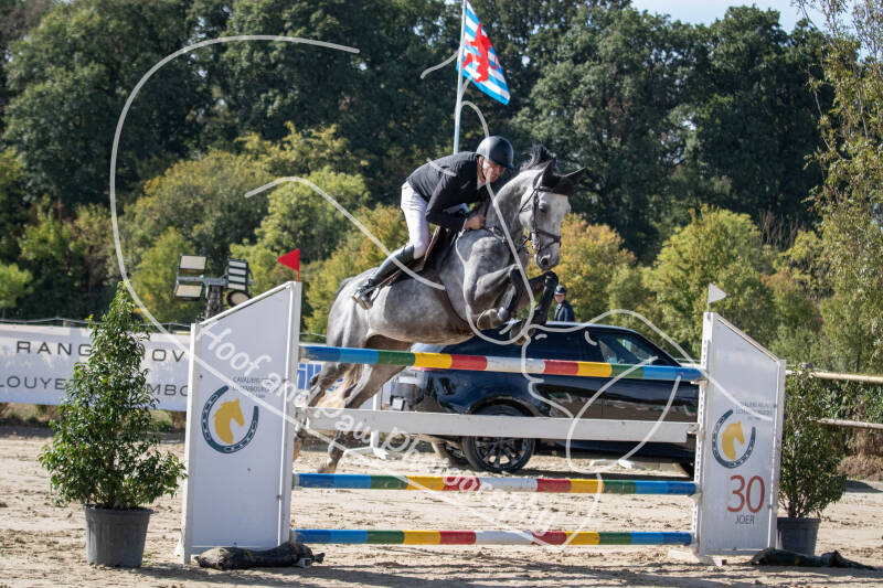 bouferterhaff-jumping-34-standard-tdlz1b.jpg