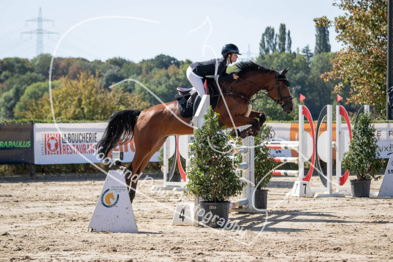 bouferterhaff-jumping-34-standard-unzo4p.jpg