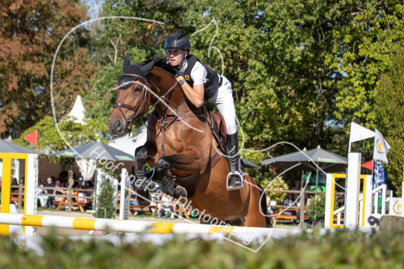 bouferterhaff-jumping-34-standard-vi11iq.jpg