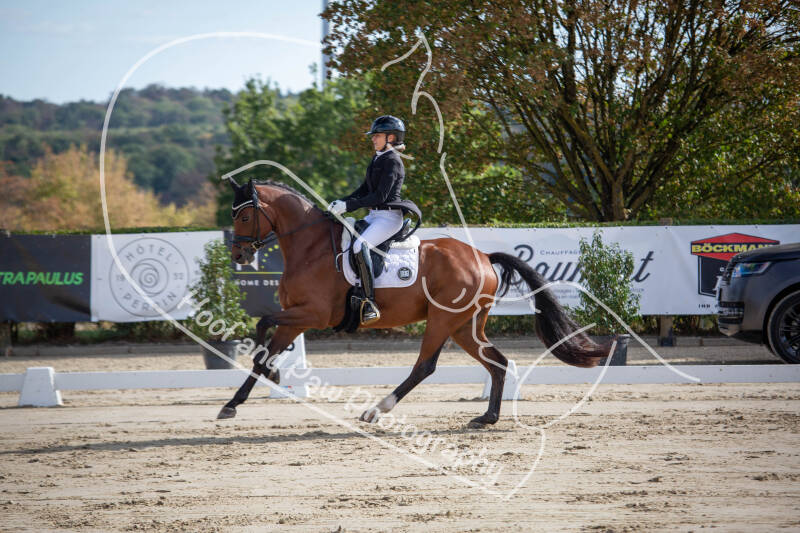 bouferterhaff-jumping-34-standard-wtmx9m.jpg
