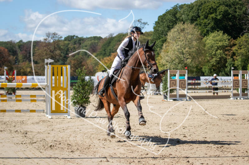 bouferterhaff-jumping-34-standard.jpg