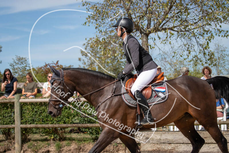 bouferterhaff-jumping-35-standard-0sjkxq.jpg