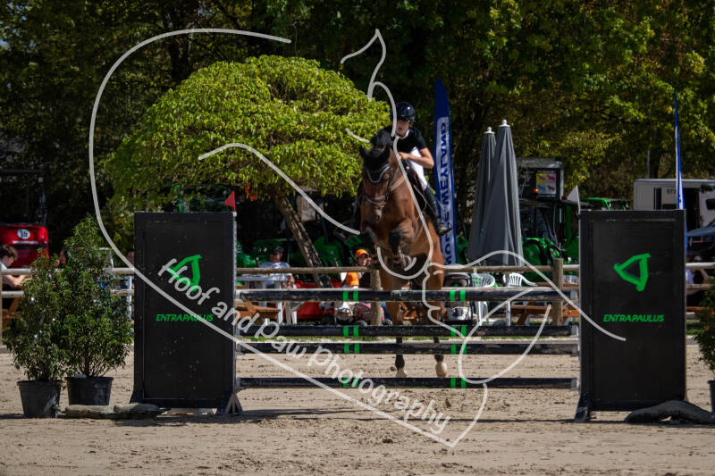 bouferterhaff-jumping-35-standard-8f5p6i.jpg