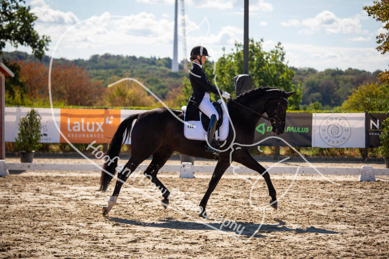 bouferterhaff-jumping-35-standard-bczqyu.jpg