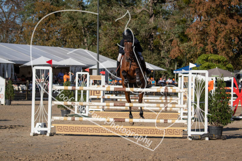 bouferterhaff-jumping-35-standard-rfz532.jpg