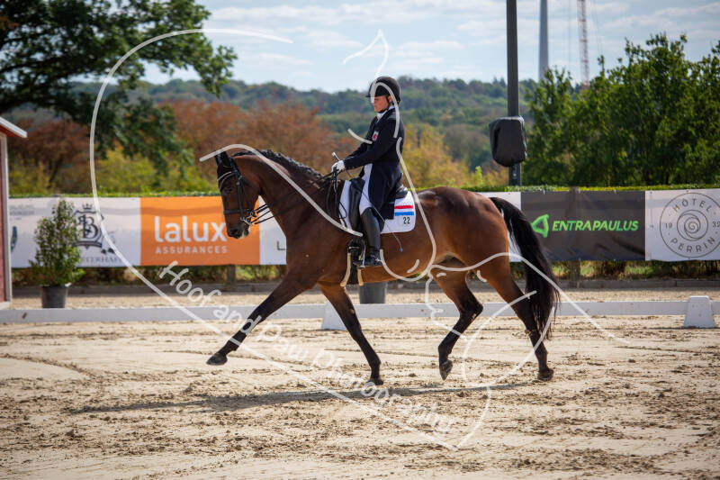 bouferterhaff-jumping-35-standard-y3e91o.jpg