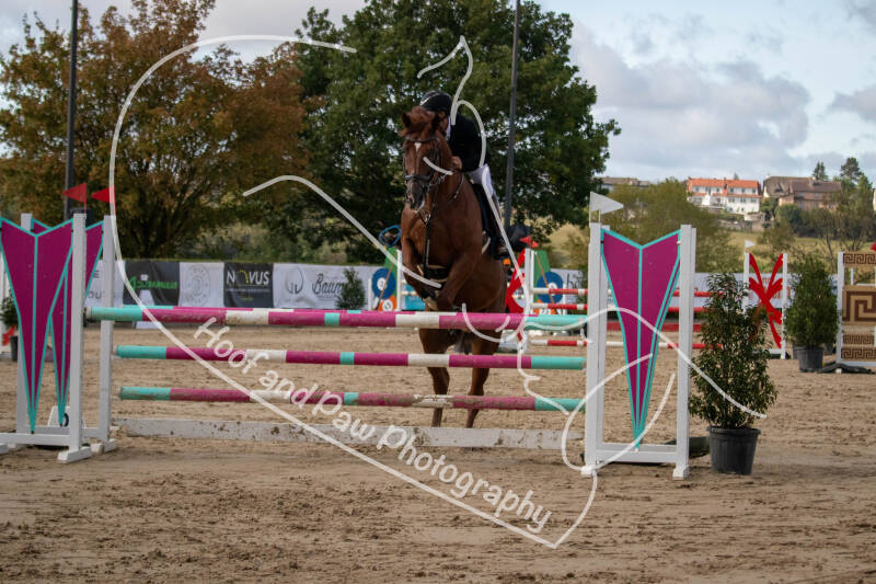 bouferterhaff-jumping-35-standard-yqvsy9.jpg
