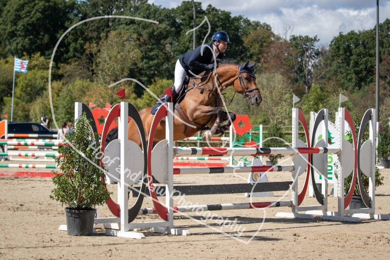 bouferterhaff-jumping-35-standard.jpg