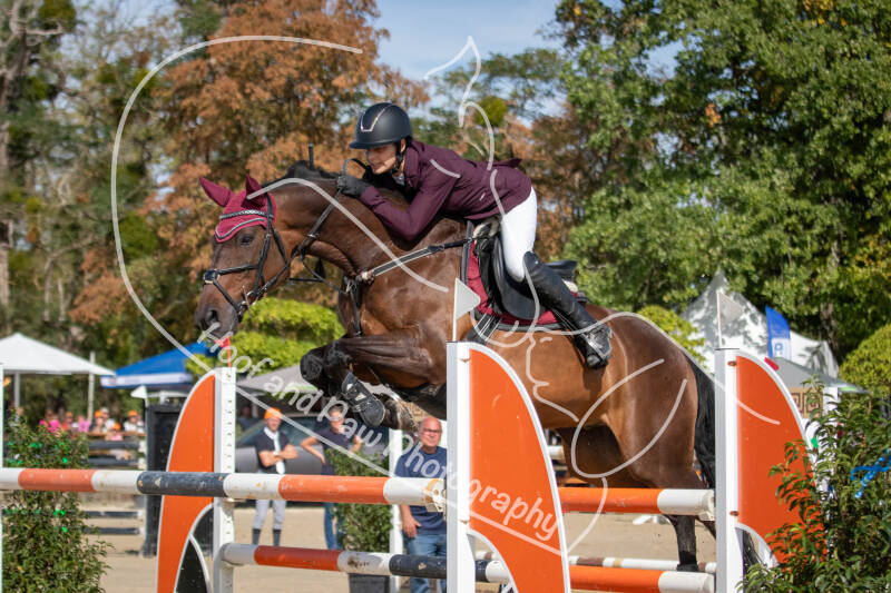 bouferterhaff-jumping-36-standard-16cia4.jpg