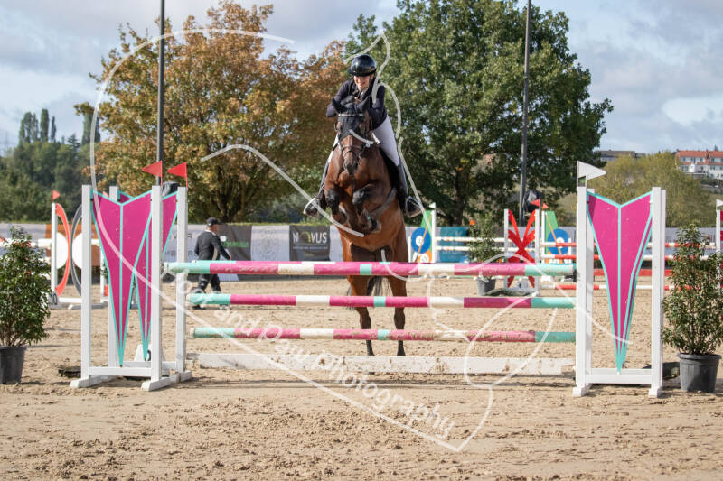 bouferterhaff-jumping-36-standard-5g6t9t.jpg