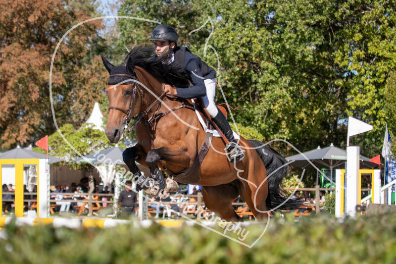 bouferterhaff-jumping-36-standard-760uy7.jpg