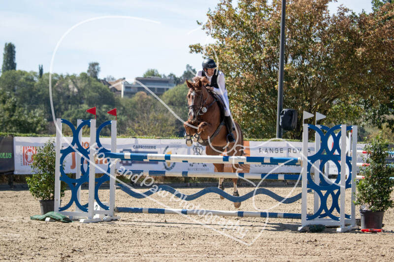 bouferterhaff-jumping-36-standard-cfddmz.jpg
