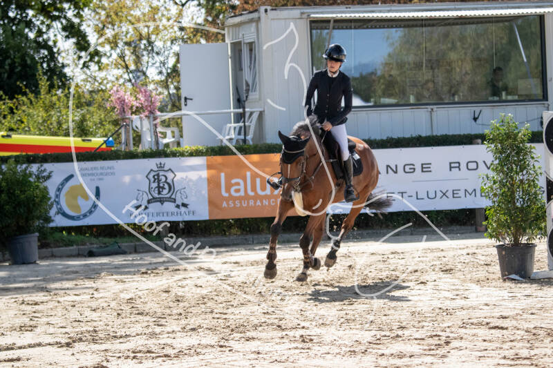 bouferterhaff-jumping-36-standard-d9oc6i.jpg