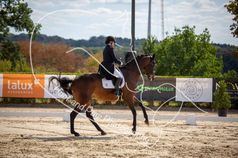 bouferterhaff-jumping-36-standard-duqeay.jpg
