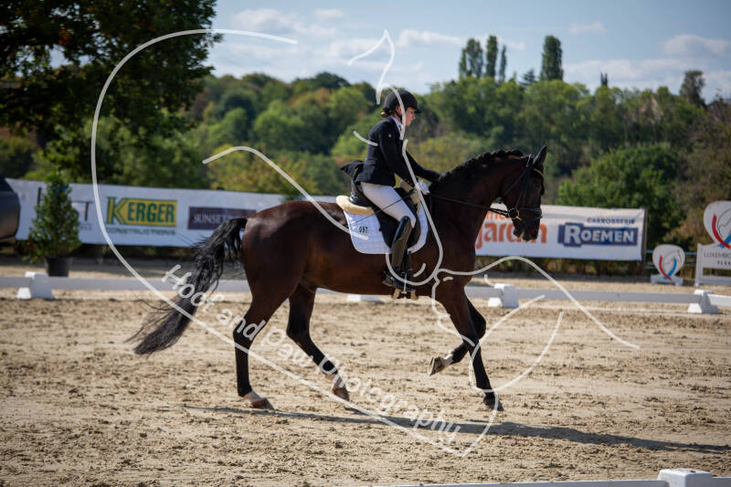 bouferterhaff-jumping-36-standard-hlbd4c.jpg
