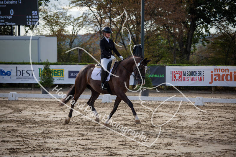 bouferterhaff-jumping-36-standard-jn02yo.jpg