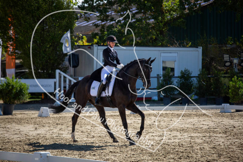 bouferterhaff-jumping-36-standard-k84v0t.jpg