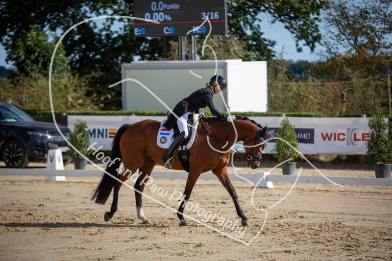 bouferterhaff-jumping-36-standard-nqlgwb.jpg
