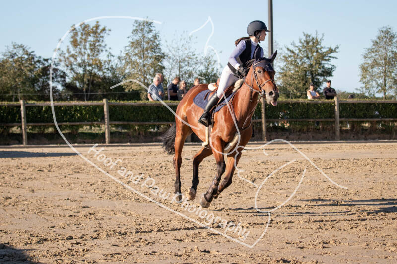 bouferterhaff-jumping-36-standard-oq7l17.jpg