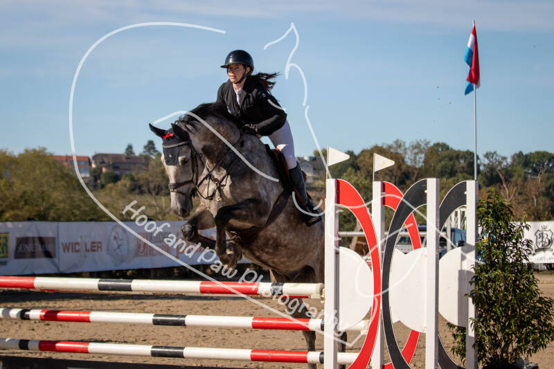 bouferterhaff-jumping-36-standard-tiutoa.jpg