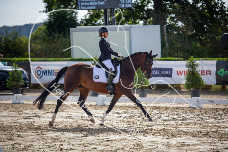 bouferterhaff-jumping-36-standard-u88bad.jpg