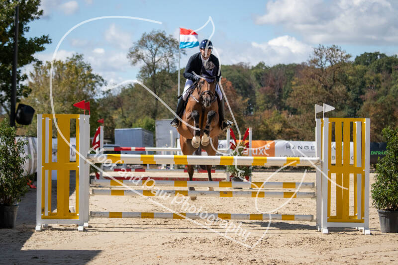 bouferterhaff-jumping-36-standard.jpg