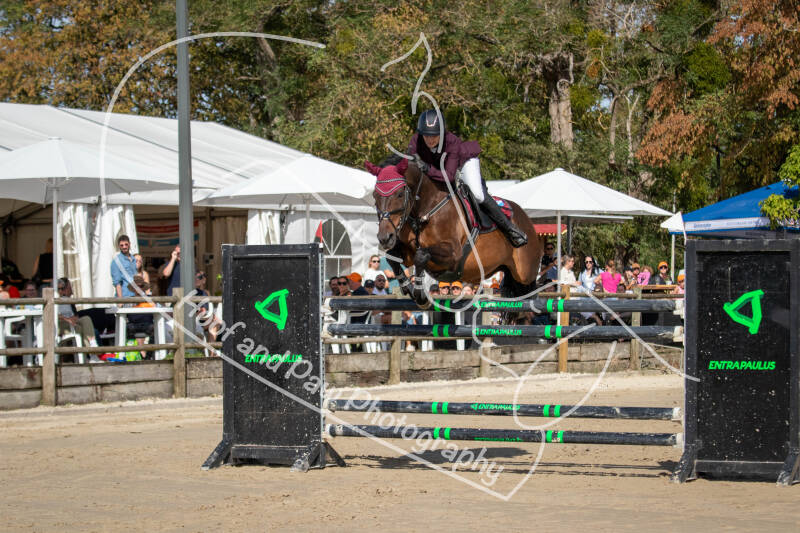 bouferterhaff-jumping-37-standard-34fuuq.jpg