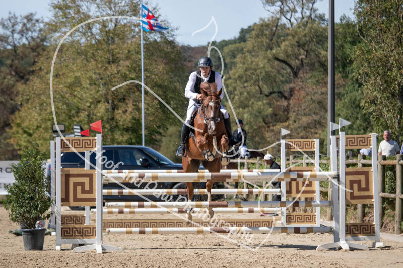 bouferterhaff-jumping-37-standard-3kg27r.jpg