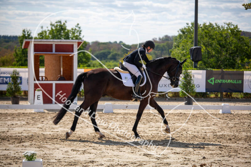 bouferterhaff-jumping-37-standard-6w0c8g.jpg
