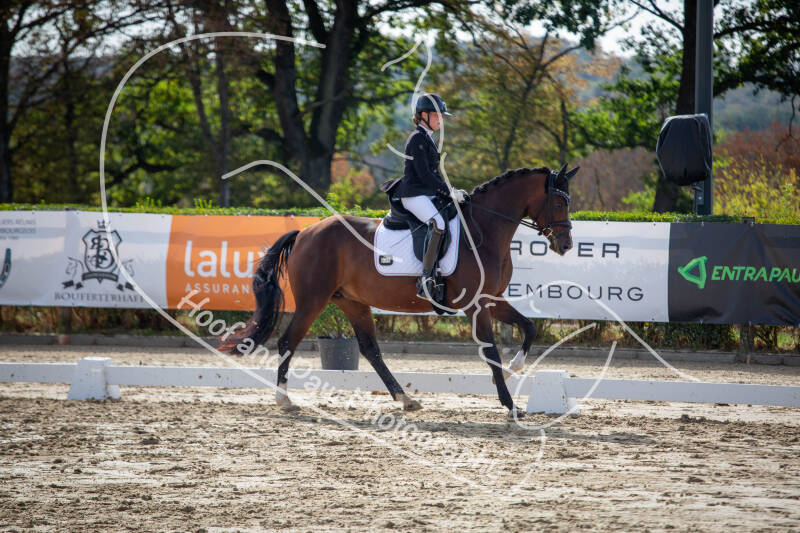 bouferterhaff-jumping-37-standard-b6gsme.jpg