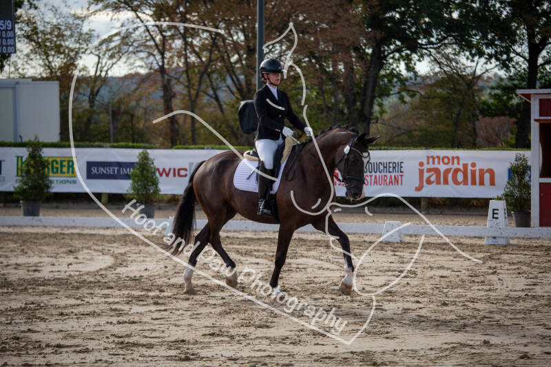 bouferterhaff-jumping-37-standard-edp4zv.jpg