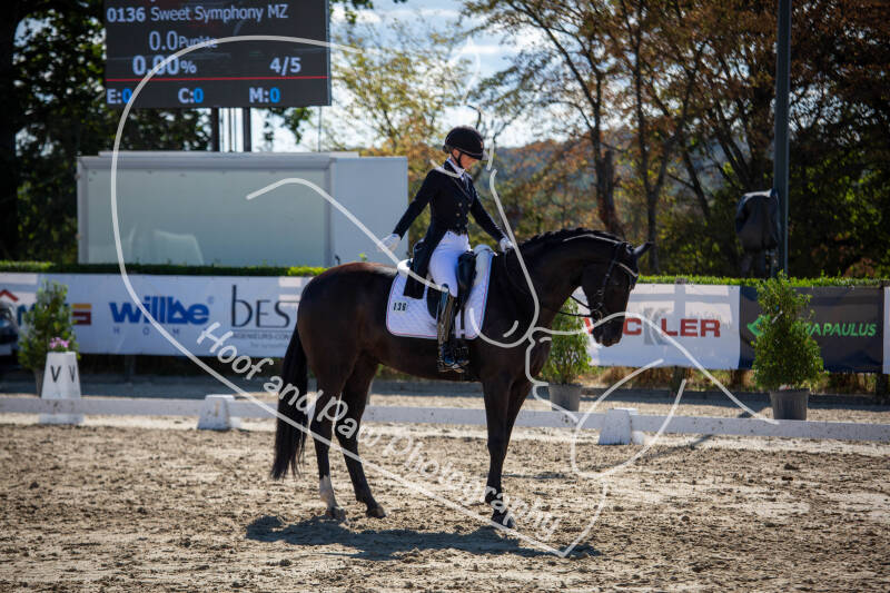 bouferterhaff-jumping-37-standard-fdwyy9.jpg