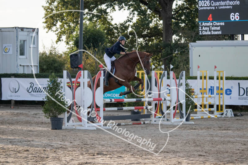 bouferterhaff-jumping-37-standard-ovnpt0.jpg