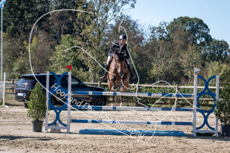 bouferterhaff-jumping-37-standard-pkpmt8.jpg