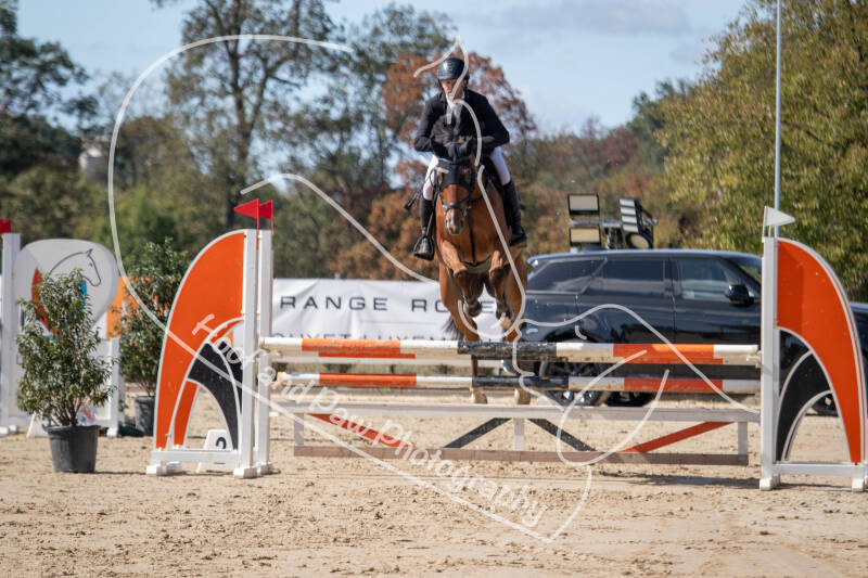 bouferterhaff-jumping-37-standard-rach8t.jpg