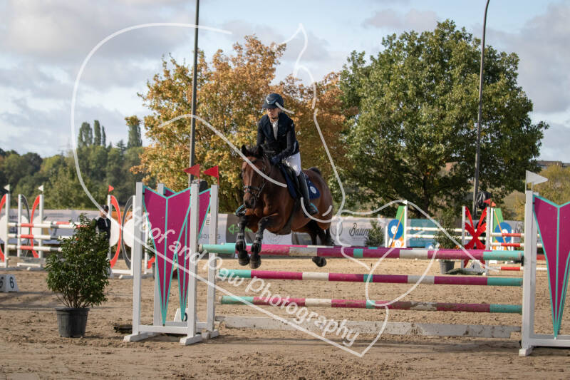 bouferterhaff-jumping-37-standard-vjzybu.jpg