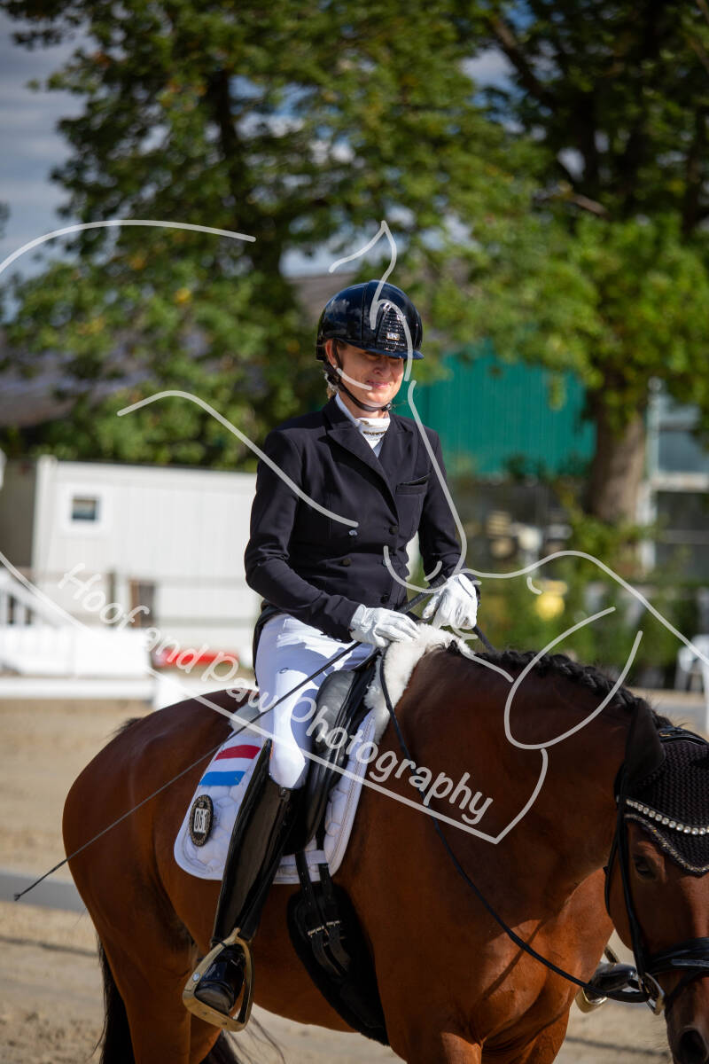 bouferterhaff-jumping-37-standard-zdft3s.jpg