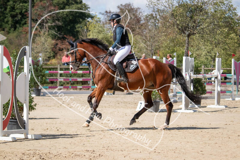 bouferterhaff-jumping-37-standard.jpg