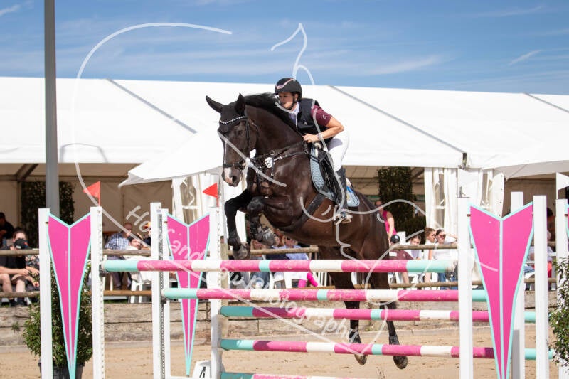 bouferterhaff-jumping-38-standard-3e37at.jpg