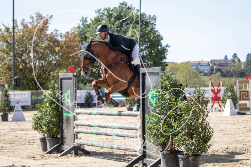 bouferterhaff-jumping-38-standard-56rvg7.jpg
