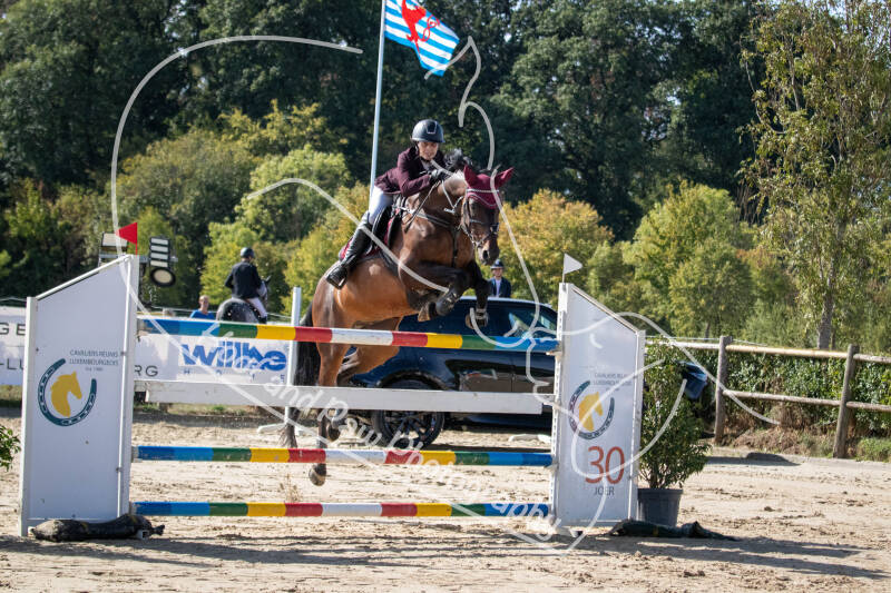 bouferterhaff-jumping-38-standard-e822jy.jpg
