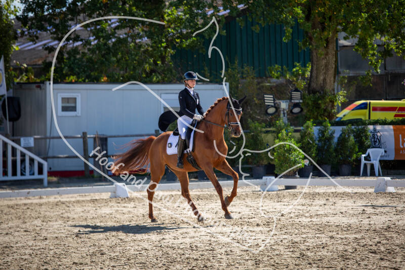 bouferterhaff-jumping-38-standard-fv3mld.jpg