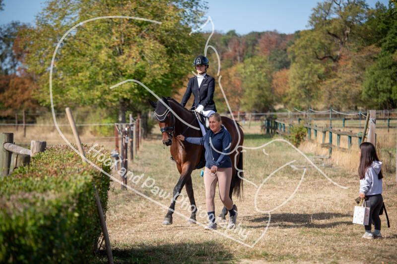 bouferterhaff-jumping-38-standard-g2403v.jpg