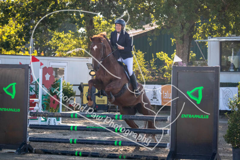 bouferterhaff-jumping-38-standard-j20pp7.jpg