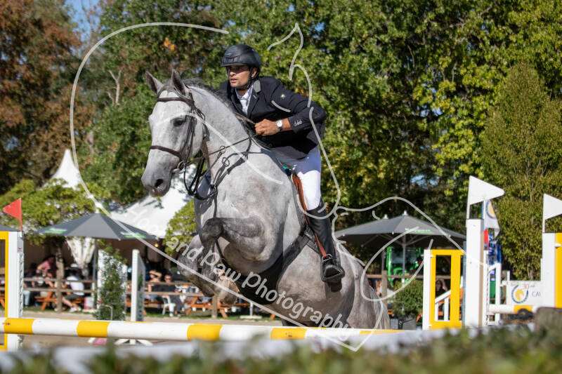 bouferterhaff-jumping-38-standard-kxusgx.jpg